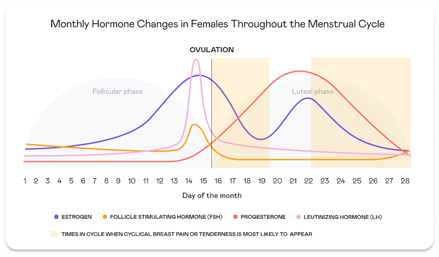 Tuune Are my hormones making my boobs sore